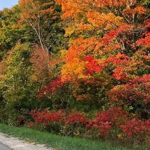 Meet your Posher, Nicki